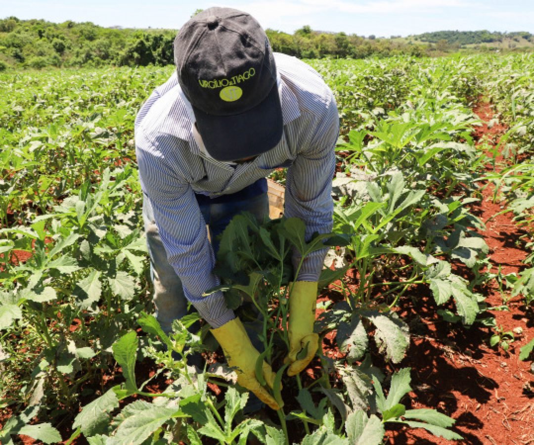 Coopera Paraná consolida sua maior edição com 220 projetos na fase preliminar de seleção