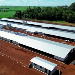 Governo do Estado e MBRF anunciam R$ 375 milhões para fortalecer produção de alimentos