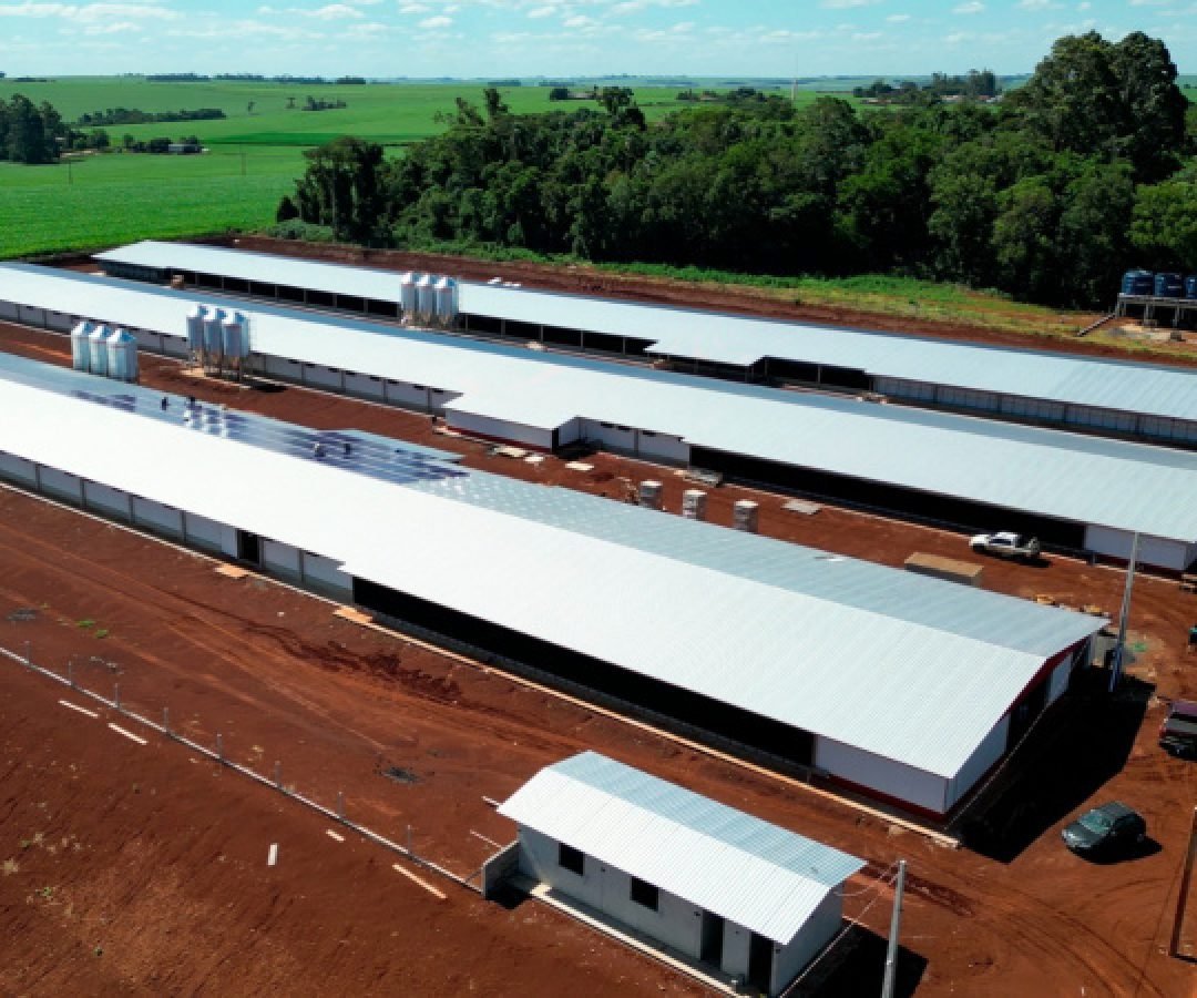 Governo do Estado e MBRF anunciam R$ 375 milhões para fortalecer produção de alimentos