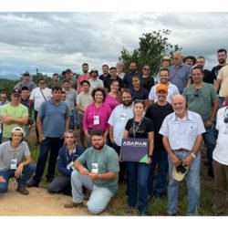 Adapar habilita 56 profissionais de 6 Estados para emissão de certificados fitossanitários