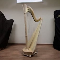 Orquestra Sinfônica do Paraná recebe nova harpa da marca italiana Salvi Harps