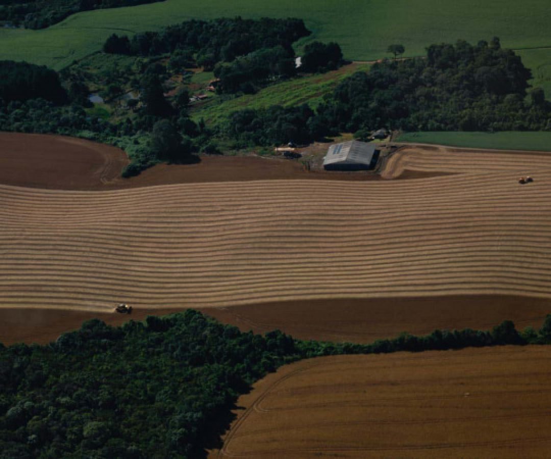 Safra de verão da soja caminha para o fim com 82% já colhida no Paraná