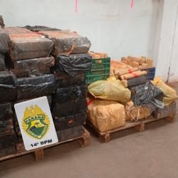 PMPR apreende mais de 880 quilos de maconha em área de mata em Foz do Iguaçu