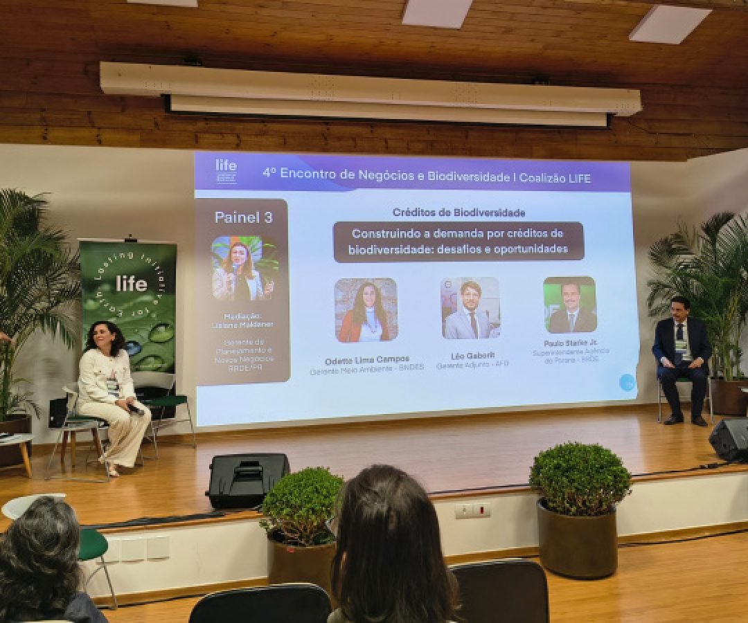 BRDE leva experiência em crédito verde à Coalizão LIFE de Negócios e Biodiversidade
