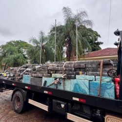 PMPR apreende mais de 5 toneladas de maconha e fuzil em Planaltina do Paraná