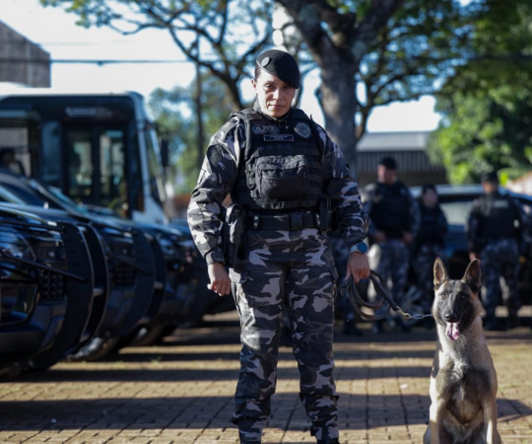 Operação Sinergia leva reforço operacional e ações estratégicas de segurança a Sarandi e região