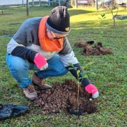 Hospital Infantil de Campo Largo ganha floresta terapêutica para auxiliar recuperação de crianças