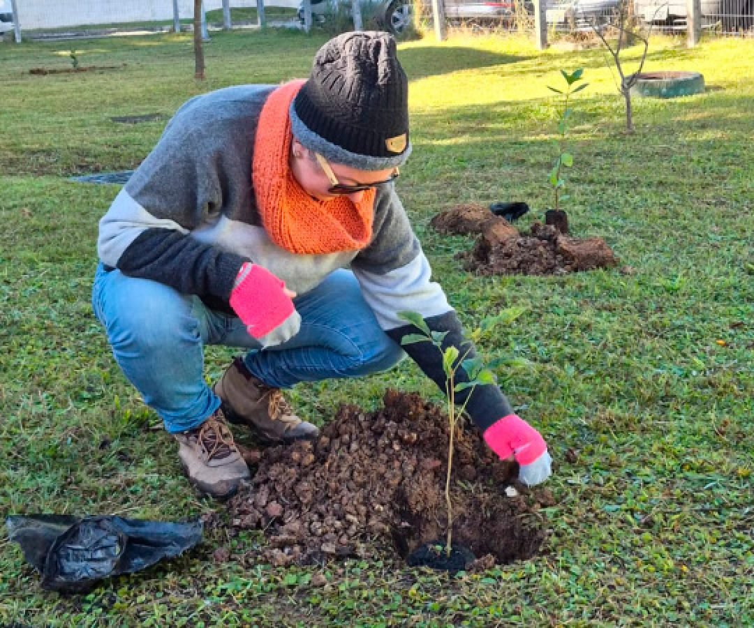 Hospital Infantil de Campo Largo ganha floresta terapêutica para auxiliar recuperação de crianças