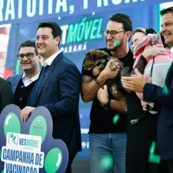 Estado fará 80 mil atendimentos em programa itinerante de consultas e vacinas para cães e gatos