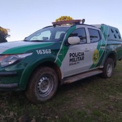 PMPR utiliza imagens de satélite e identifica desmatamento ilegal na Lapa