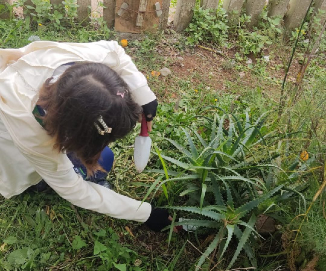 Estudantes da rede estadual se mobilizam para implantar ecoponto em São José dos Pinhais