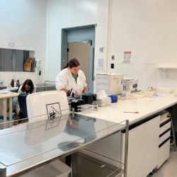 Paraná reduz tempo do diagnóstico de febre amarela em primatas e agiliza vigilância