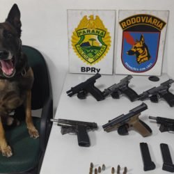 PMPR apreende seis pistolas em ônibus em operação de combate ao tráfico de armas em Piraí do Sul