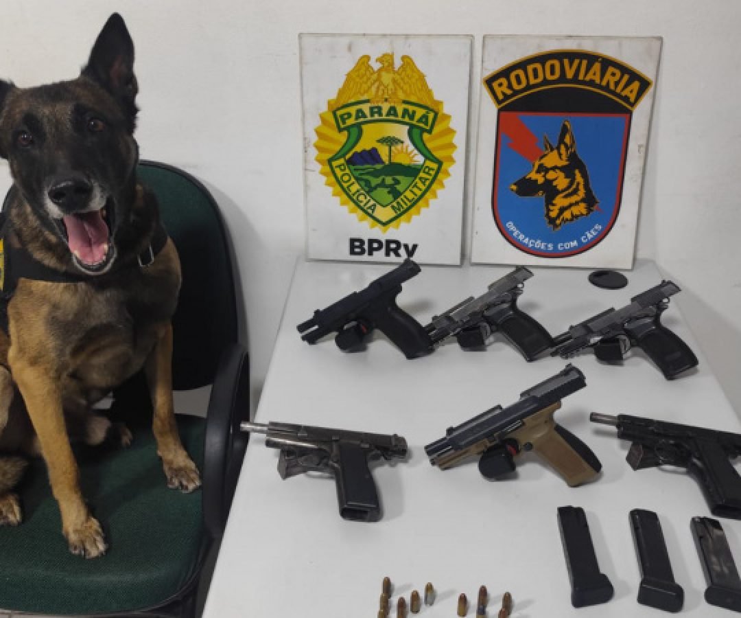 PMPR apreende seis pistolas em ônibus em operação de combate ao tráfico de armas em Piraí do Sul