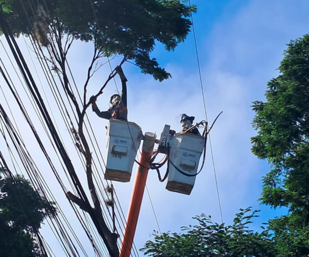 Copel realiza mutirão de poda preventiva em Cornélio Procópio e Rolândia neste domingo 