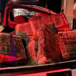 PMPR apreende mais de 5 toneladas de maconha em operações no Oeste
