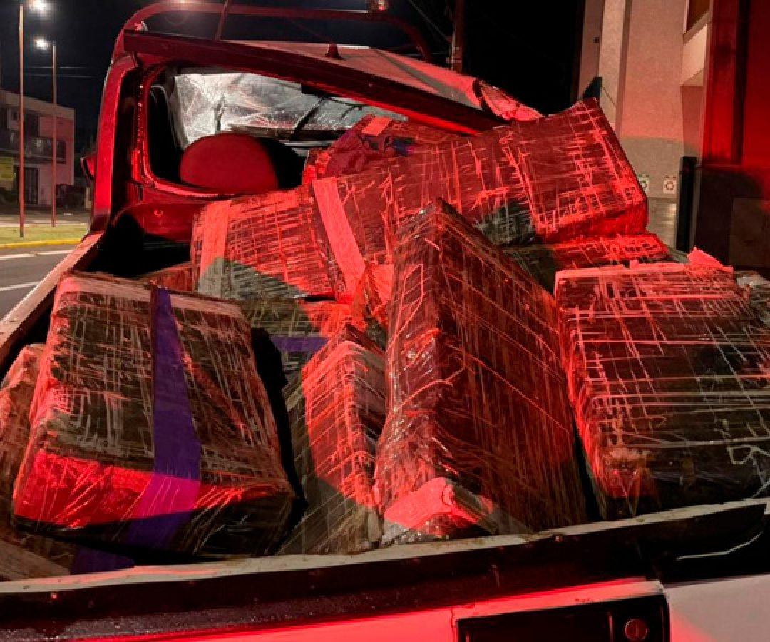 PMPR apreende mais de 5 toneladas de maconha em operações no Oeste