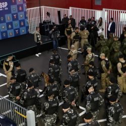 Operação integrada apreende 4,6 toneladas de maconha e reforça combate ao crime no Paraná