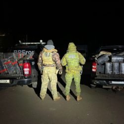 PMPR apreende 1,6 tonelada de maconha; prejuízo ao crime passa de R$ 3,3 milhões